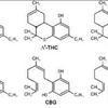 Cannabinoids