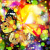 Learn About Your Dreams David Rivinus
