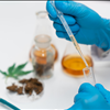 CBD Online Marketplace for Buyers and Sellers of CBD Isolate Norcal GCX 415-475-9180