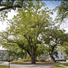 BEST LOAN OFFICER MOUNT PLEASANT SC WES SELLEW