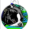 Pensive Boy Custom Pet Tag 