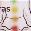 Chakras