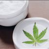 Best CBD Cream Topical Hemp Palmetto Harmony 843-331-1246