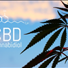 Superior CBD Hemp Oil Full Spectrum For Sale Palmetto Harmony 843-331-1246