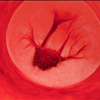 Artist Turns Her Own Menstrual Blood Into Surprisingly Beautiful Art