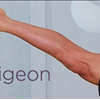 Flying Pigeon