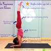 Online Yoga Classes