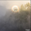 Brocken Spectre on Mt Rainier 