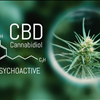 Buy Wholesale Crude CBD Oil Pelmor Lane 859-338-5670