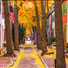 Historic Restorations Ford Plantation Richmond Hill Call 912-481-8353