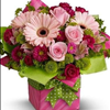 A Pretty Pink Present