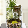 Garden in Glass Florist Atlanta Carithers Flowers