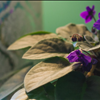 Atlanta Buckhead Family Counseling With TRU Integrative Health And Wellness Provides Peace Of Mind  