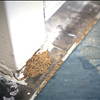 Have Your Tampa Home Inspected For Termites With Binghams Pest Management Call 727-323-8866