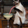 Juanita Greenberg Mt Pleasant Margarita