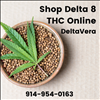 Best Online Marketing Services Findit DeltaVera Launches Campaign 404-443-3224