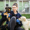 Support The No Kill Animal Shelter Best Friends Animal Society with Chavez for Charity 973-337-8551