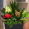 Teddy Bear Florist Atlanta Carithers Flowers