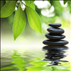 Meditation