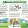 Dental Implant Smile Mount Pleasant 843-388-9690 Denture Crown Mini Great Healthy Smile