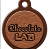 Chocolate Lab Custom Dog ID