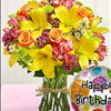 THE FIELDS OF EUROPE and BIRTHDAY MYLAR