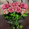 Double Pink Hydrangea and ivy in Decor Urn