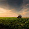 Hemp Farmers MarketPlace Exchange Self Regulated NorCal GCX 415-475-9180