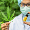 Hemp Extraction Lab Marketplace For Buyers NorCal GCX 415-475-9180
