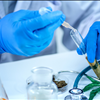 Hemp Extraction Lab Marketplace NorCal GCX For Buyers 415-475-9180