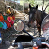 Motorcycle Adventure Tour Copper Canyon Mexico