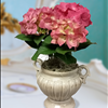 Princess 'Pink' Hydrangea Plant in Decor Container