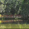 Find a Low Interest Rate Mortgages in Mount Pleasant South Carolina with Homefront Mortgages