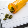 Schedule Medical Cannabis Card Consultation Iowa Dr Mary Clifton 917-297-7439