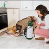 Tampa Bay Bug Control Experts At Binghams Profesional Pest Management Call 727-323-8866