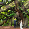 Angel Oak on Johns Island