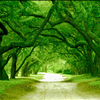 Reverse Mortgages available in Summerville SC from Homefront Mortgages