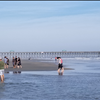 Folly Beach South Carolina Enjoy 