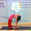 Yoga Instruction anytime, anywhere