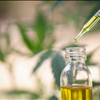 Best CBD Pet Products For Sale Palmetto Harmony 843-331-1246