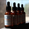 Industrial Hemp CBD Oils From CBD Unlimited Are The Best Certified Hemp Products Online