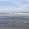 Folly Beach South Carolina App testing for Findit