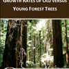 Growth Rates of Old versus Young Forest Trees