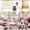 Get The Best Deals On Your Favorite Fragrances At Central Better Wear