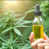Online CBD Marketplace for Buyers and Sellers of Hemp Oils Norcal GCX 415-475-9180
