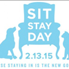 Stay Stay Day