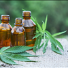 Top Quality CBD Pet Products For Sale Palmetto Harmony 843-331-1246