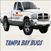 Tampa Bay Bugs