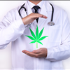 Fast Iowa Medical Marijuana Card Dr Mary Clifton 917-297-7439