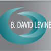 High Quality Rugs with Designs from Legendary Designer B. David Levine